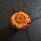 Takaratomy Beyblade Sol Blaze Corocoro Limited 