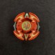 Takara Beyblade Dranzer V2 Red Limited